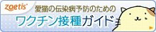 愛猫の伝染病予防のためのワクチン接種ガイド